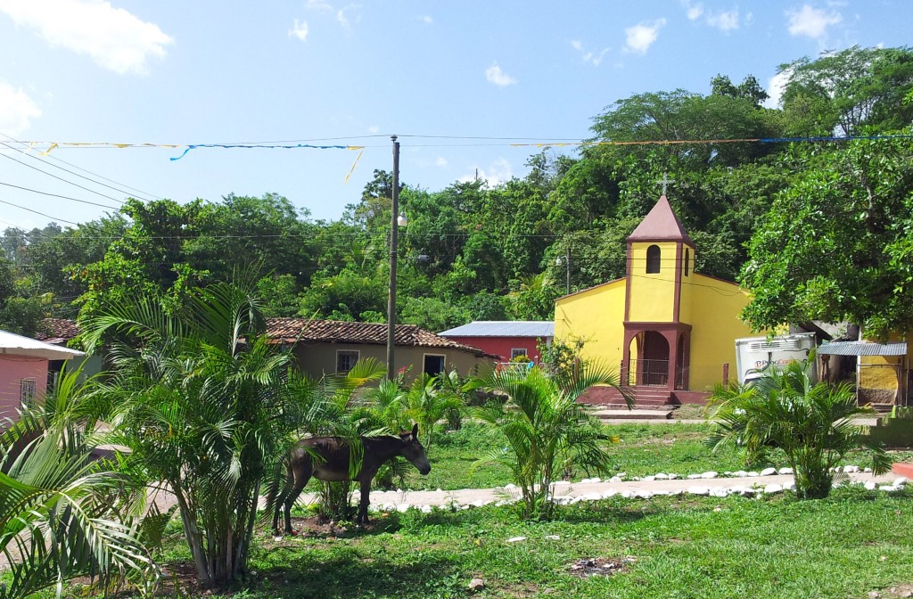 San Juan - the cooperative land is about 30 minutes walk behind the village
