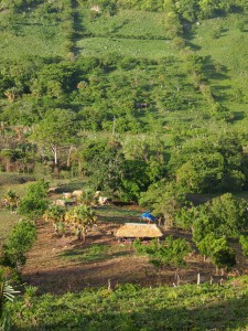 View of part of the coop land from above, including the corn field starting to sprout and the cabin which we slept under