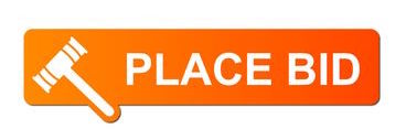 place-bid-orange-13905759