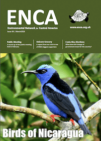 Newsletter 96 Newsletter 96